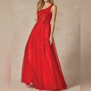 Stunning Scarlet Lace Prom Dress